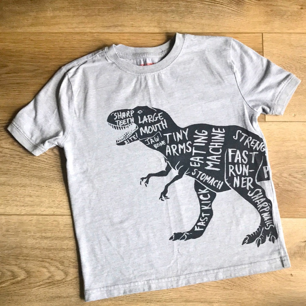🌿 5/$25 🌿 Joe Fresh Boys Dino Short Sleeve T-Shirt sz M (8)